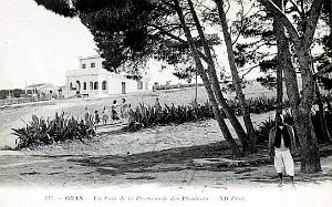 G 024- Planteurs